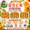 台東夏雪芒果預購中,5公斤整箱與2.5公斤手提禮盒,亞莛釋迦產地直送