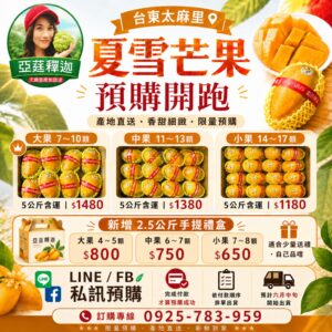 台東夏雪芒果預購中，5公斤整箱與2.5公斤手提禮盒，亞莛釋迦產地直送