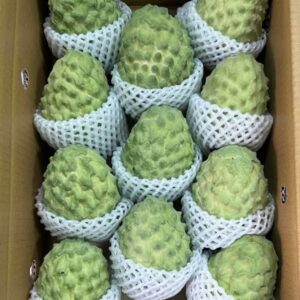 鳳梨釋迦 11～12顆裝（中果）｜經典冬季果・台東太麻里產地直送