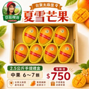 台東夏雪芒果2.5公斤手提禮盒,中果6-7顆顆,亞莛釋迦產地直送