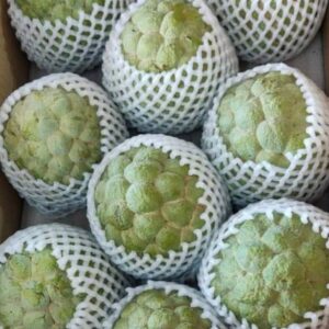 太替代文字（Alt） 太麻里釋迦 超大果禮盒（6～8顆裝） 標題 太麻里釋迦 超