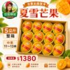 台東夏雪芒果5公斤手提禮盒，中果11-13顆，亞莛釋迦產地直送