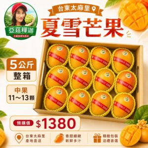 台東夏雪芒果5公斤手提禮盒,中果11-13顆,亞莛釋迦產地直送
