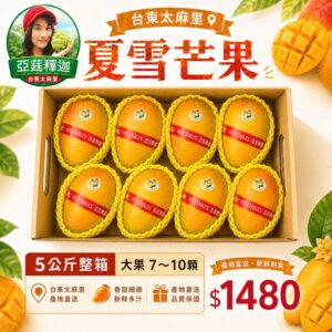 台東夏雪芒果5公斤手提禮盒,大果7~10顆,亞莛釋迦產地直送