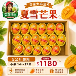 台東夏雪芒果5公斤手提禮盒，小果14～17顆，亞莛釋迦產地直送