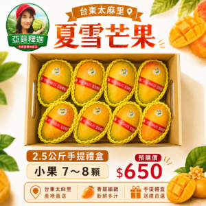 台東夏雪芒果2.5公斤手提禮盒，小果7～8顆，亞莛釋迦產地直送
