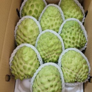 鳳梨釋迦 9～10顆裝（大果）｜經典冬季果・產地直送